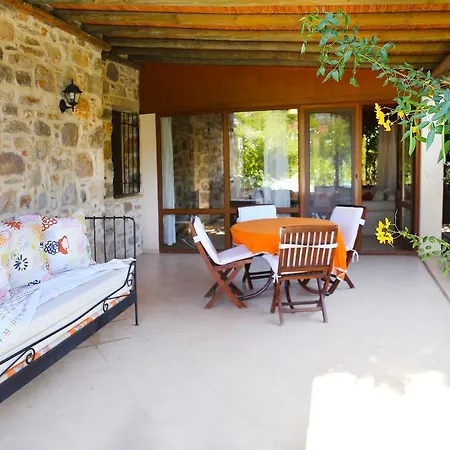 Villa Limon By Important Group Travel *