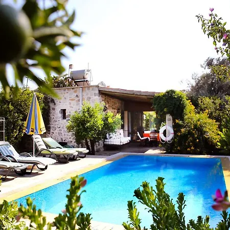 Limon By Important Group Travel Villa *