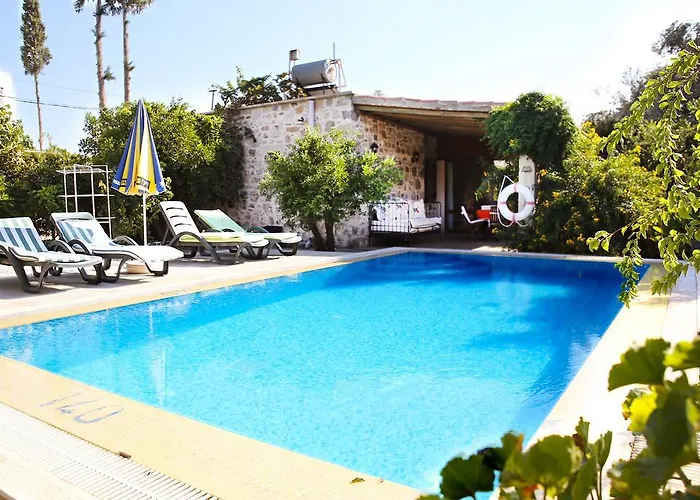 Limon By Important Group Travel *